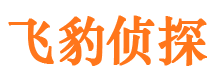 鹤山出轨取证